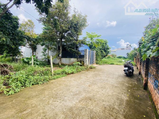 Cần Bán Nhanh Lô Đất Hẻm Cấp 1 Đường Lê Cảnh Tuân Phường Tân Hoà BMT