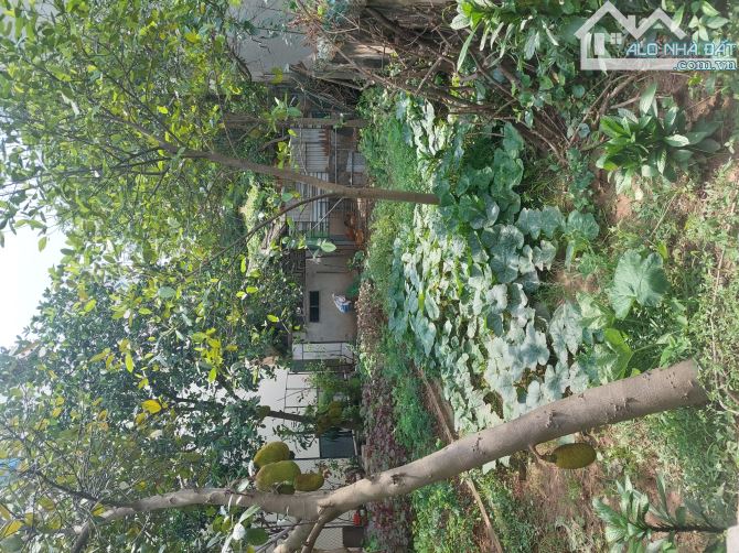 BÁN ĐẤT ĐẸP THỤY PHƯƠNG – MẶT TIỀN RỘNG – XE BA GÁC, Diện tích: 71m, hơn 6 tỷ