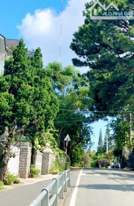 Bán lô đất Đống Đa- P3 Đà Lạt🌲view toàn tp Đà Lạt🔥362m-19 tỷ tl