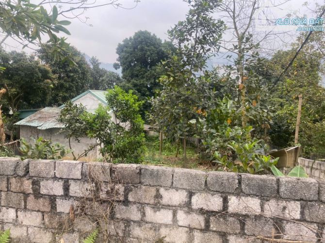 CẦN BÁN 350M 50TC TẠI CƯ YÊN LS HB GIÁ 1,X TỶ