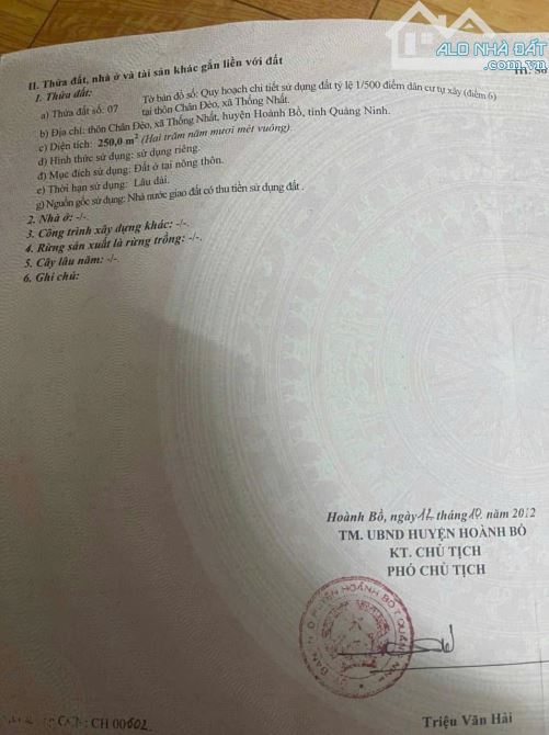Bán đất TĐC 250m -  Chân Đèo  Hoành Bồ mặt đường 336 đối diện trường sát hạch lái xe