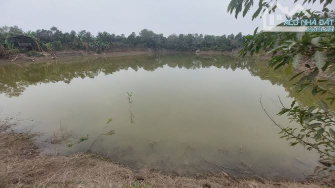 Đất 2-5ha nông nghiệp, P Trần Phú, giá thỏa thuận
