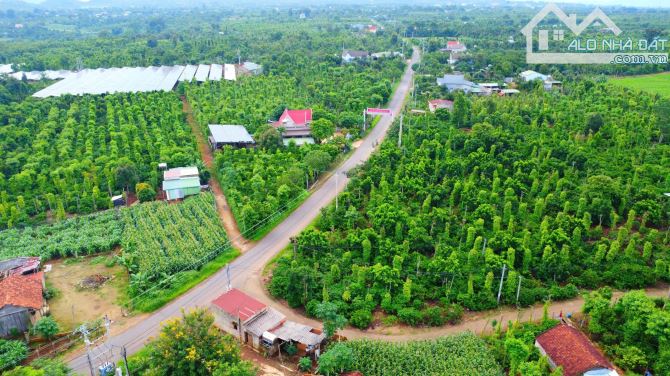 🌈🌟Đất 2 Mặt Tiền Liên Xã DRAY SÁP - Krong Ana (20x30m👉1.8 tỷ ) - 1