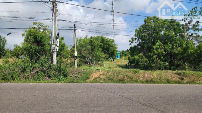 🌿 BÁN ĐẤT ĐẸP MẶT TIỀN ĐƯỜNG NHỰA - HÀM KIỆM, TIẾN THÀNH, PHAN THIẾT - 1