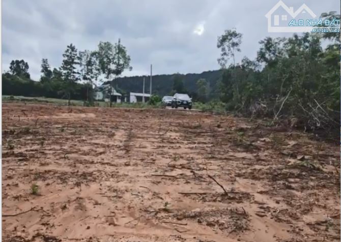 Bán Nền Đất Dành Cho Nhà Đầu Tư Nhanh Nhạy 500m2 giá chỉ 2,2 tỷ - 1