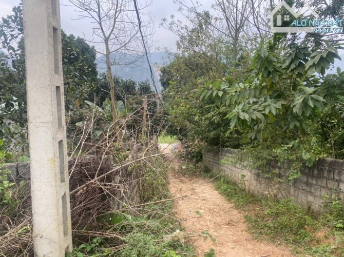 CẦN BÁN 350M 50TC TẠI CƯ YÊN LS HB GIÁ 1,X TỶ - 1