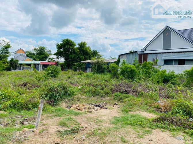 Cần bán đất đường nhựa ngay sât Quốc lộ 55 cách đúng 300m gần khu công nghiệp đất đỏ - 1