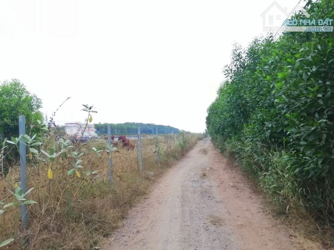 Bán 4,7 sào đất sát cao tốc Long Thành - Dầu Dây kv sân bay - 1