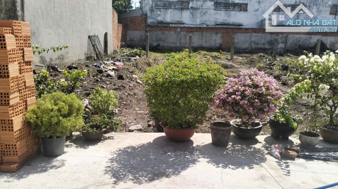 Lô đất đẹp HXT Thới Tam Thôn HM, DT 100 m2 . Giá chỉ  3.1 tỷ (TL) - 1