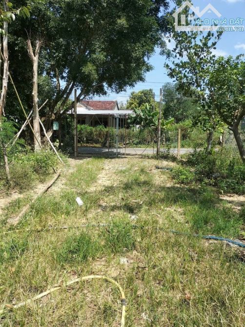 Bán 1782m2 đất quy hoạch full thổ cư Chỉ 745triệu tại Ninh An- Ninh Hoà
