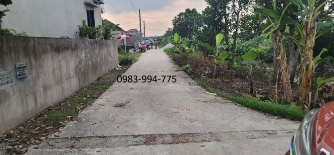 BÁN ĐẤT THUẬN THÀNH, BẮC NINH. 80M2 * MT 5M * 2,7 TỶ. Ô TÔ VÀO ĐẤT, SÁT PHỐ - 1