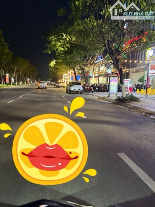 Cần Bán Gấp 1008m2 Mặt Tiền Trục 60 Nguyễn Sinh Sắc. Gần mega Liên Chiểu Đà Nẵng - 14