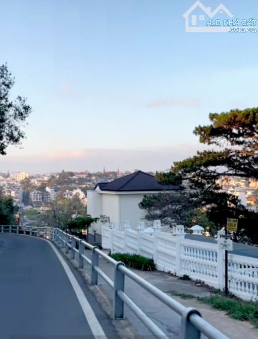 Bán lô đất Đống Đa- P3 Đà Lạt🌲view toàn tp Đà Lạt🔥362m-19 tỷ tl - 2