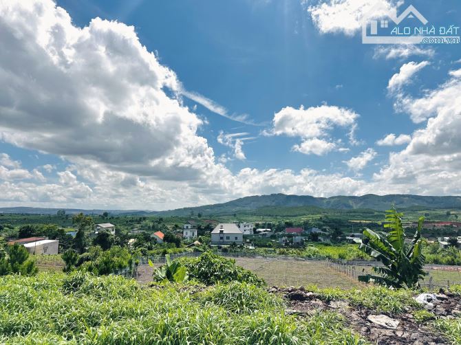 ✨ 4 LÔ F0 View đồi trên cao nhìn xuống Thị trấn săn mây Cực Đỉnh, 5x40M (Full ONT) - 650TR - 2