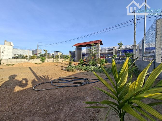Bán lô đất Biệt thự 300m2 (12x25)m, đã xây tường rào cổng ngõ siêu đẹp, Nghĩa Kỳ, Tư Nghĩa - 2