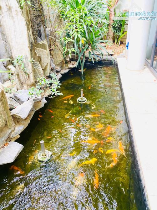 BÁN BIỆT THỰ KĐT DỊCH VỌNG, 268M2, ĐẸP LONG LANH, GIÁ 72 TỶ - 3