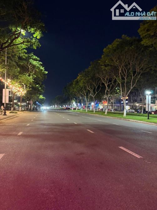 Cần Bán Gấp 1008m2 Mặt Tiền Trục 60 Nguyễn Sinh Sắc. Gần mega Liên Chiểu Đà Nẵng - 4