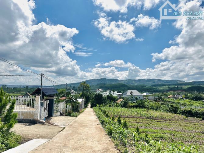 ✨ 4 LÔ F0 View đồi trên cao nhìn xuống Thị trấn săn mây Cực Đỉnh, 5x40M (Full ONT) - 650TR - 4
