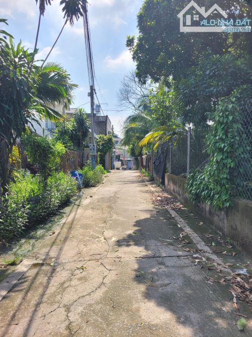Bán đất 4x16m, hẻm Tân Phước p. Tân Bình, tặng 32m2 giấy tay - 5