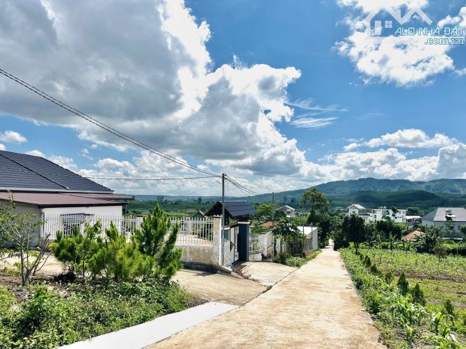 ✨ 4 LÔ F0 View đồi trên cao nhìn xuống Thị trấn săn mây Cực Đỉnh, 5x40M (Full ONT) - 650TR - 5