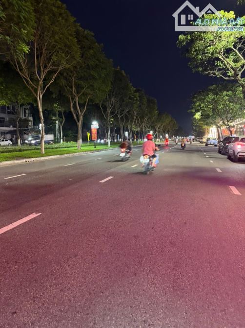 Cần Bán Gấp 1008m2 Mặt Tiền Trục 60 Nguyễn Sinh Sắc. Gần mega Liên Chiểu Đà Nẵng - 8