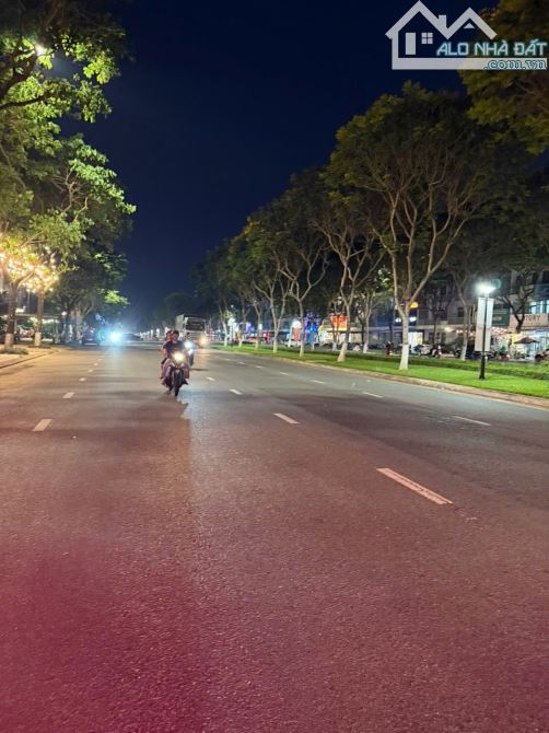 Cần Bán Gấp 1008m2 Mặt Tiền Trục 60 Nguyễn Sinh Sắc. Gần mega Liên Chiểu Đà Nẵng - 9