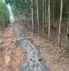 Bán hơn 1 mẫu 8 tân hiệp giá mềm cho nhà đầu tư