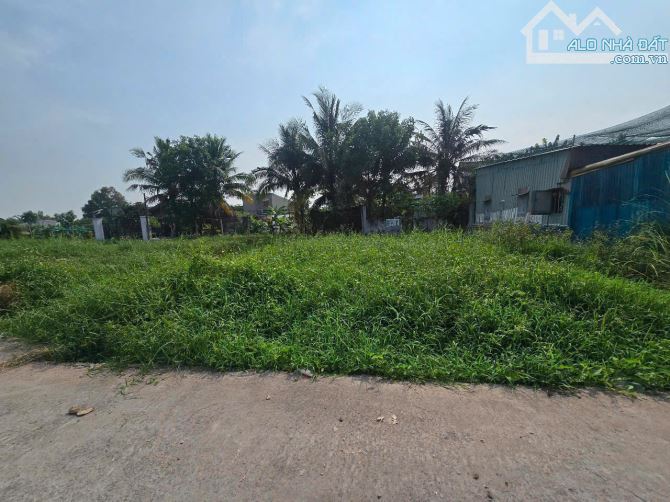 Lô đất nền ấp 8 Xã Bình Mỹ- Củ Chi 99.6m2 có 94.6m2 thổ, đường bê tông ô tô tới nới.
