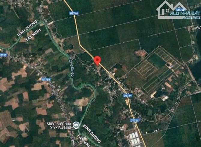 Cần Bán 3.244m2 ĐẤT, ngang 52,6m tại xã Thanh An, huyện Dầu Tiếng, tỉnh Bình Dương