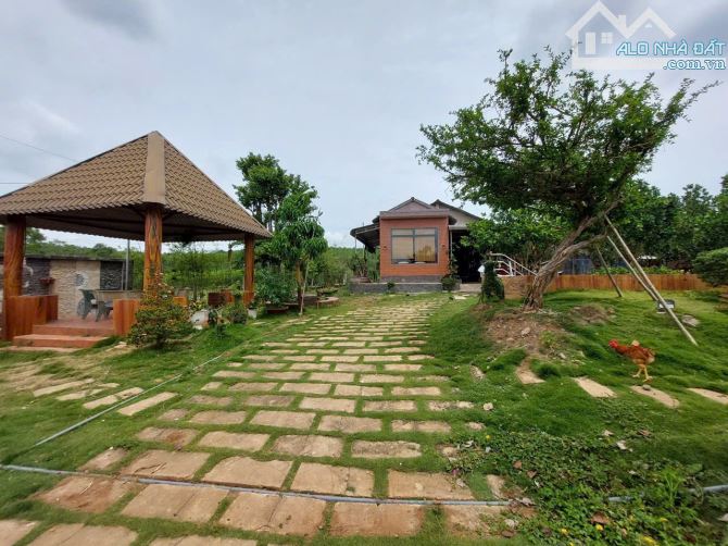 BÁN GẤP KHU ĐẤT NHÀ VƯỜN 2900M² TẠI SUỐI RAO GIÁ 2TY280