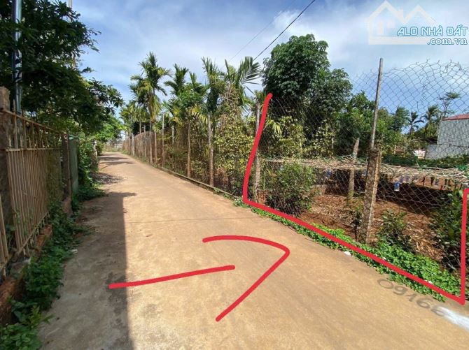 Đất hẻm Thế Lữ phường Tân Hoà mặt tiền đường bê tông