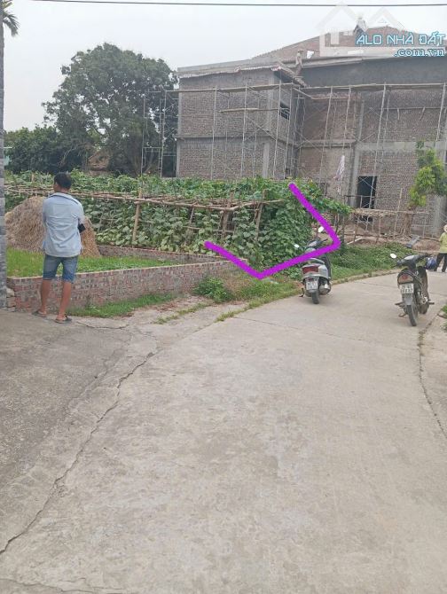 Bán đất sổ đỏ Lương Tài Bắc Ninh