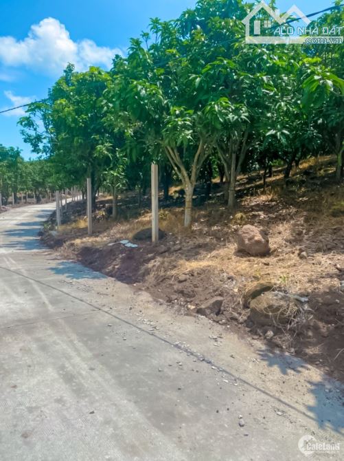 Bán 1.5 héc đất vườn đường bê tông ô tô tận nơi tại Định Quán, Đồng Nai