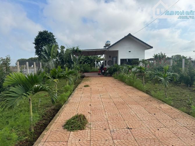 bán nhà sân vườn mạt tiền lớn Dt 12x50m tc200m2 giá 5,2ty