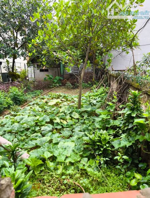 Bán đất mặt ngõ thông cổ nhuế, ô tô đỗ cửa, sổ đẹp như tờ A4, giá đầu tư.