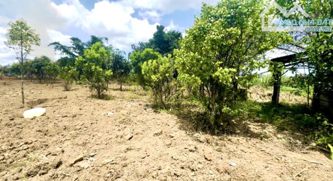 Cần bán hơn 5 sào đất thổ cư đường Ngô Tất Tố, sau dự án Lamia, Phường 3 TP.Bảo Lộc - 6