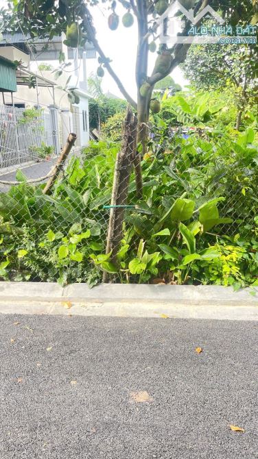 Bán đất Tằng My,Nam Hồng lô góc ô tô nhỏ 40m chỉ hơn 2 tỷ - 1