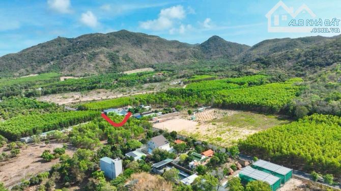 Bán đất ở Long Mỹ, 5,2 tỷ, 1000m2, mặt tiền đường Phước Hưng - Phước Hải - 1