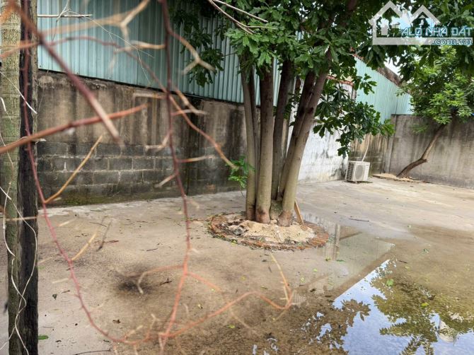 Lô Góc 100m2 thổ cư đường vào trường THCS Nguyễn Văn Bá số 21 đường 11 Linh Xuân - 1