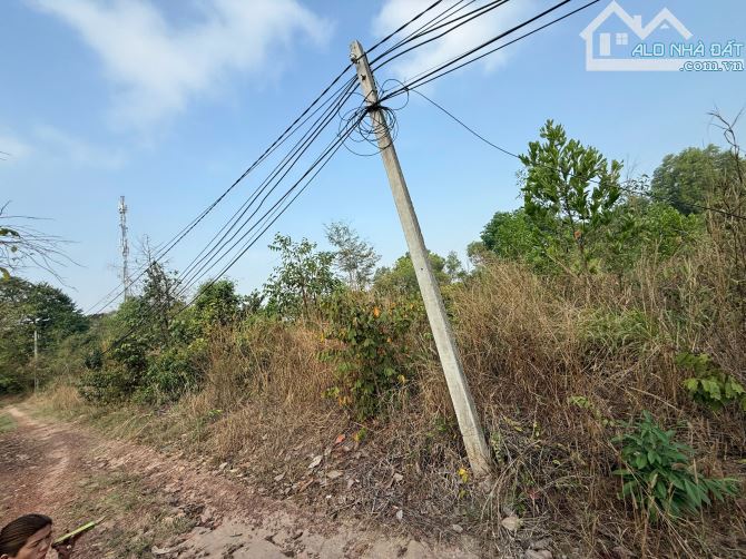Cần Bán 3.244m2 ĐẤT, ngang 52,6m tại xã Thanh An, huyện Dầu Tiếng, tỉnh Bình Dương - 1