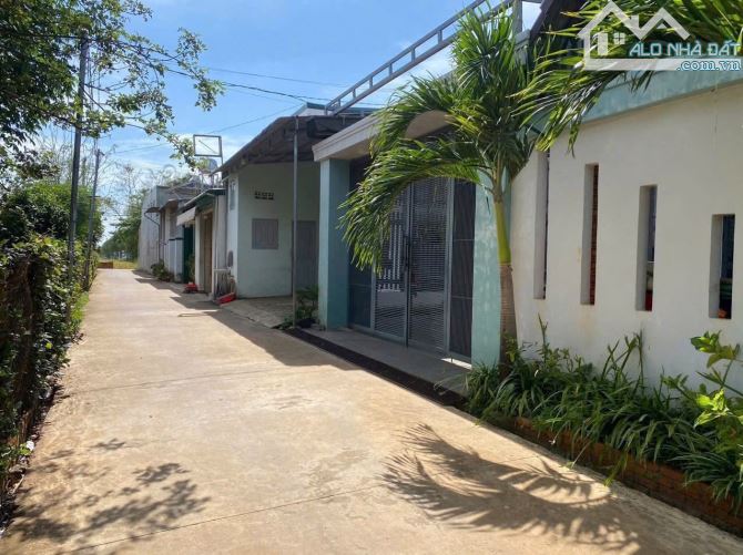 Đất hẻm Thế Lữ phường Tân Hoà mặt tiền đường bê tông - 1