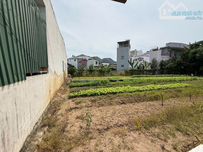 Bán lô đất hẻm 2m Nguyễn Khuyến Vĩnh Hải cách đường ô tô 80m - 1