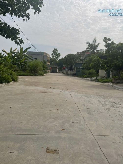 đất đông cương đầu ve 5,5 x 22  121m2  2025 - 1