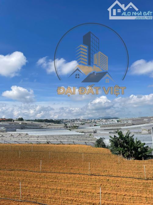 🌿 BÁN ĐẤT NÔNG NGHIỆP VIEW THOÁNG – P.8 ĐÀ LẠT - 4.5 TỶ - 1