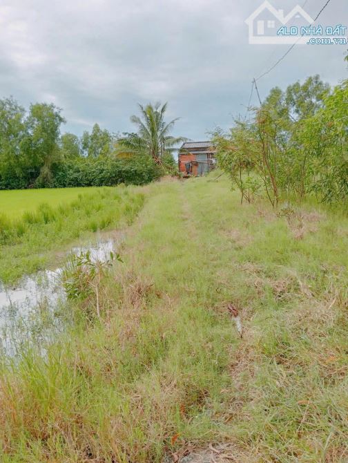 🏡 CHỦ GỬI BÁN GẤP ĐẤT 152M2 – ĐƯỜNG ĐINH ĐỨC THIỆN – 430 TRIỆU – SHR 🏡 - 1