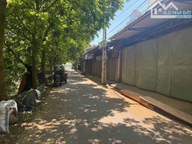 Đất tại Thuỵ Lôi, Đông Anh, Hà Nội 97m - 1