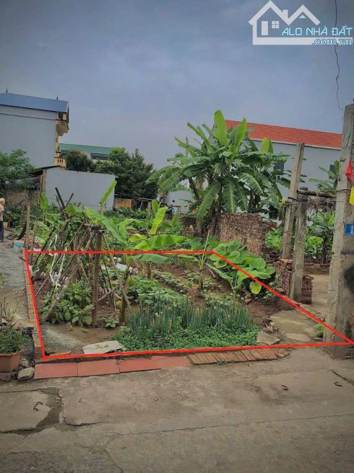 BÁN LÔ GÓC SIÊU ĐẸP – NGỌC LIÊN, KIM AN, THANH OAI, Ô TÔ Đỗ cửa - 1