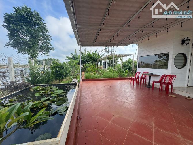 bán nhà sân vườn mạt tiền lớn Dt 12x50m tc200m2 giá 5,2ty - 1