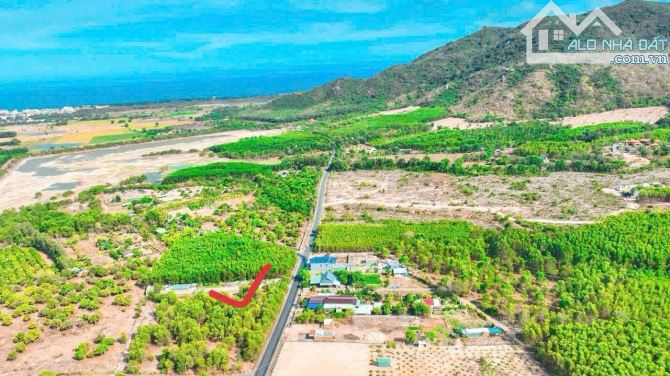 Bán đất ở Long Mỹ, 5,2 tỷ, 1000m2, mặt tiền đường Phước Hưng - Phước Hải - 2