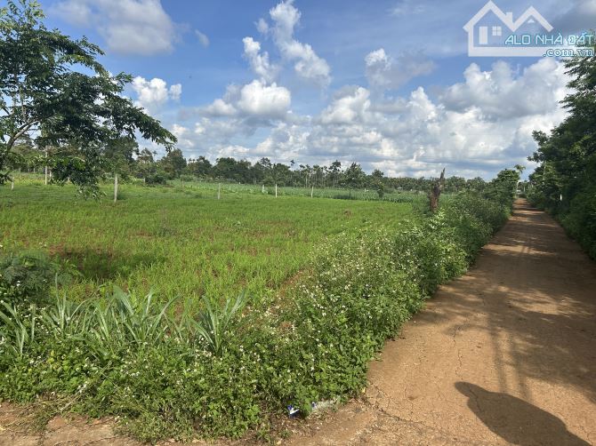 🅿️❇️ĐẤT XÃ COUR ĐĂNG, HẺM CẤP 1 QUỐC LỘ 14, 450 TRIỆU, KTL, 5mx22m, FULL THỔ CƯ❇️ - 2
